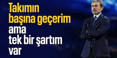 Fenerbahçe'nin başına geçmek için tek şart!