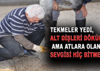 TEKMELER YEDİ, ALT DİŞLERİ DÖKÜLDÜ, AMA ATLARA OLAN SEVGİSİ HİÇ BİTMEDİ.