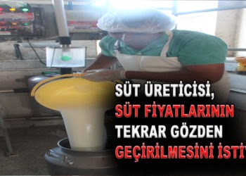 SÜT ÜRETİCİSİ, SÜT FİYATLARININ TEKRAR GÖZDEN GEÇİRİLMESİNİ İSTİYOR.