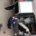Köpekleri Pikap Araca İstiflediler