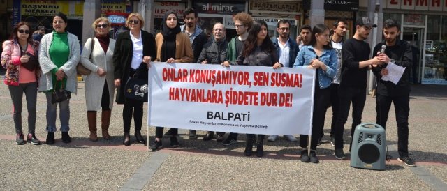 Ankara’daki Köpek Katliamı Balıkesir’de Protesto Edildi
