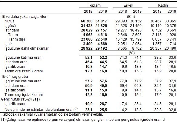 İşgücü İstatistikleri, Ocak 2019