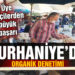 Burhaniye’de organik denetimi