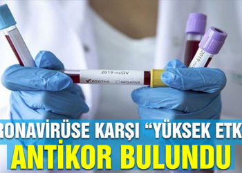 Corona virüse karşı “yüksek etkili” antikor bulundu