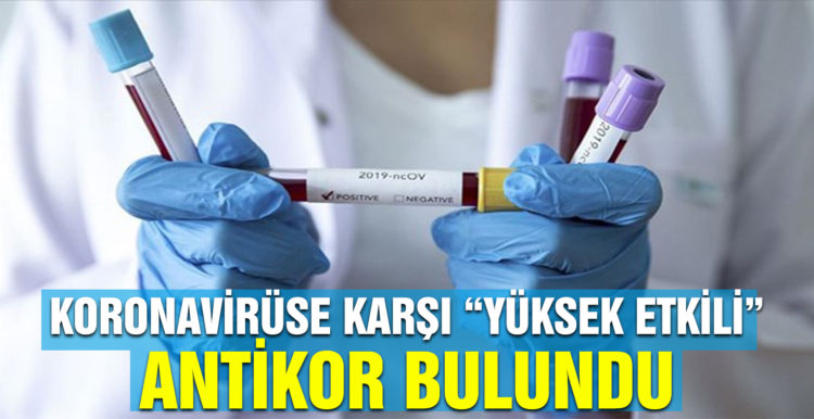 Corona virüse karşı “yüksek etkili” antikor bulundu