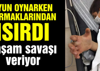 Arkadaşlarıyla oynarken yılan ısırdı! Civan, yoğun bakımda