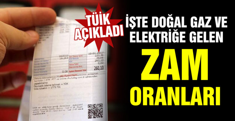 TÜİK doğalgaz ve elektriğe gelen zam oranlarını açıkladı