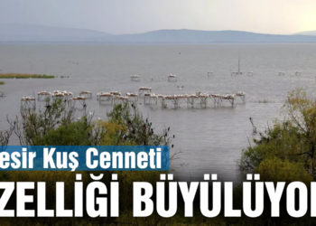 Balıkesir’in milli parkları doğal güzelliğiyle büyülüyor
