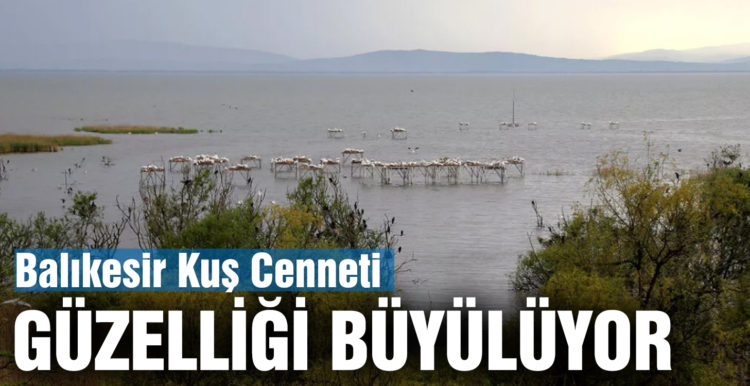 Balıkesir’in milli parkları doğal güzelliğiyle büyülüyor