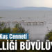 Balıkesir’in milli parkları doğal güzelliğiyle büyülüyor