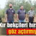 Kır bekçileri hırsızlara göz açtırmıyor