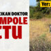 Nöbetten çıkan doktor şarampole uçtu