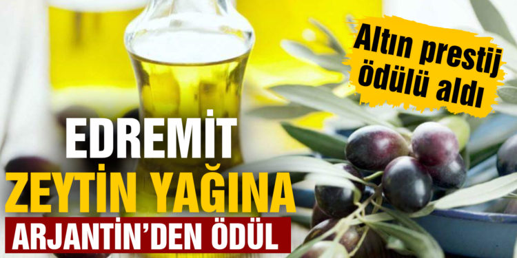Edremit zeytinyağları Arjantin’den ödül ile döndü