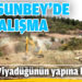 Dursunbey Naipler Viyadüğünün yapına başlandı