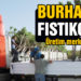 Burhaniye fıstıkçamı üretim merkezi oldu