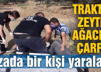 Traktör zeytin ağacına çarptı, kazada bir kişi yaralandı