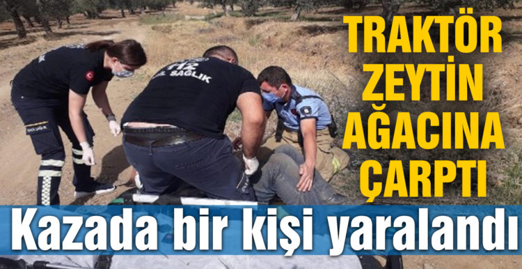 Traktör zeytin ağacına çarptı, kazada bir kişi yaralandı