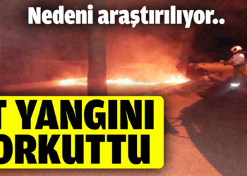 Burhaniye’de yazlıkların yanında çıkan ot yangını korkuttu