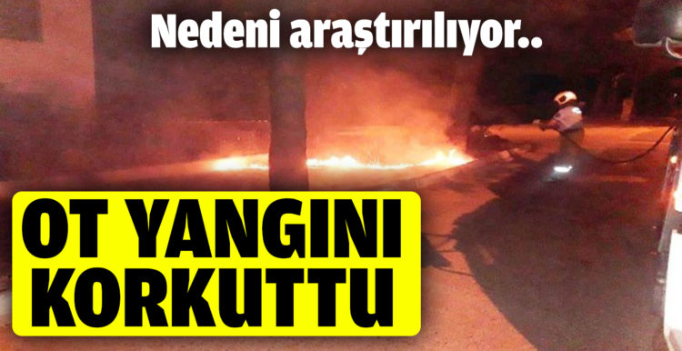 Burhaniye’de yazlıkların yanında çıkan ot yangını korkuttu