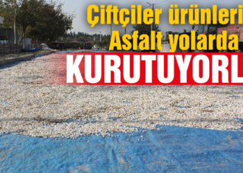 Çiftçiler ürünlerini asfalt yollarda kurutuyor