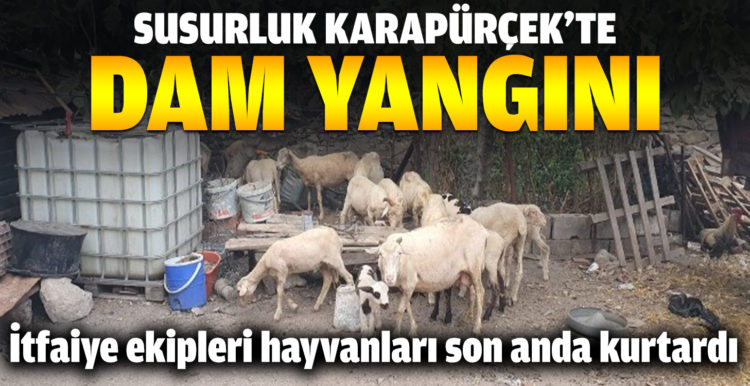 Itfaiye ekipleri hayvanları son anda kurtardı