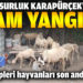 Itfaiye ekipleri hayvanları son anda kurtardı
