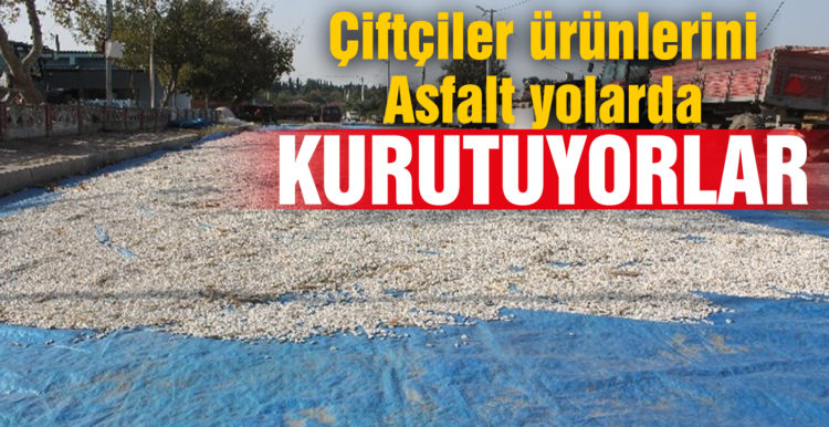 Çiftçiler ürünlerini asfalt yollarda kurutuyor