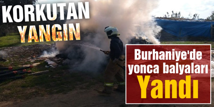 Burhaniye’de yonca balyaları yandı
