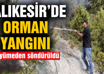 Balıkesir’de orman yangını