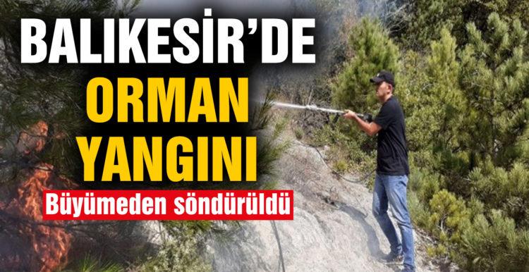 Balıkesir’de orman yangını
