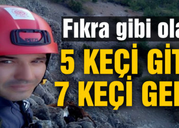 Balıkesir’de itfaiyenin Nasreddin Hoca misali keçi kurtarma operasyonu