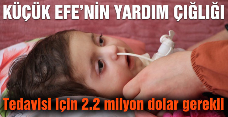 Efe bebeğin tedavisi için 2.2 milyon dolar gerekli