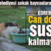 Burhaniye’de can dostları susuz kalmayacak