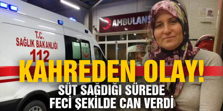 Kahreden olay! Süt sağarken elektrik akımına kapılan kadın öldü