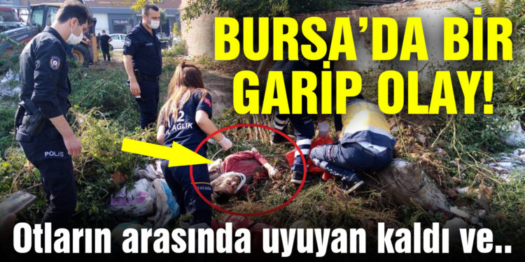 Bursa’da otların arasında uyuyan sarhoşun üzerine toprak attı