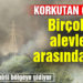 Hatay İskenderun’da orman yangını! Birçok ev alevlerin arasında kaldı