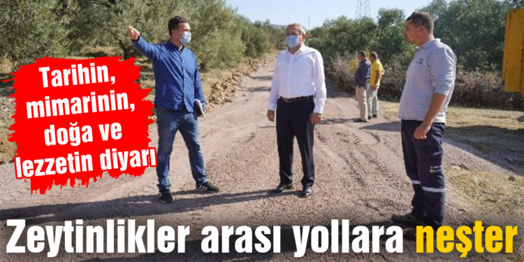 Zeytinlikler arası yollara neşter