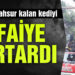 Ağaçta mahsur kalan kediyi itfaiye kurtardı