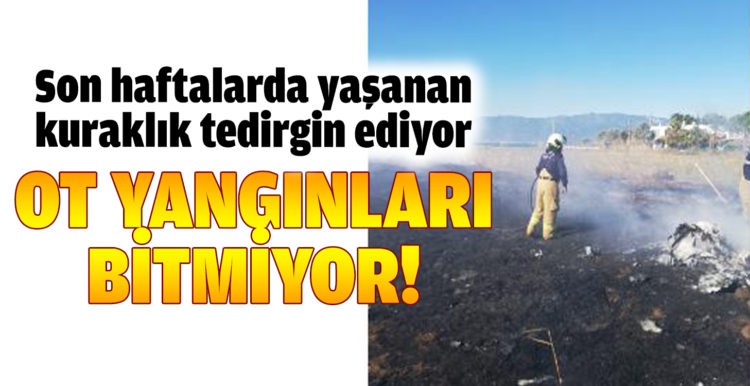 Burhaniye’de ot yangınları bitmiyor