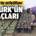 Atatürk’ün Ağaçları