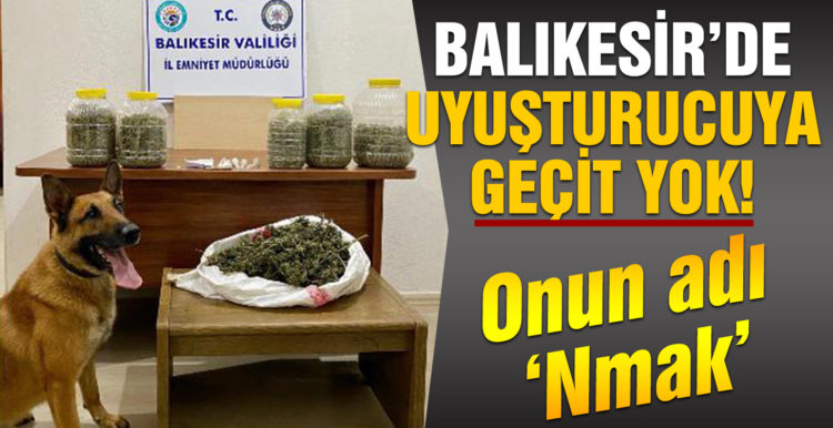 Narkotik köpeği Nmak’tan uyuşturucuya bingo