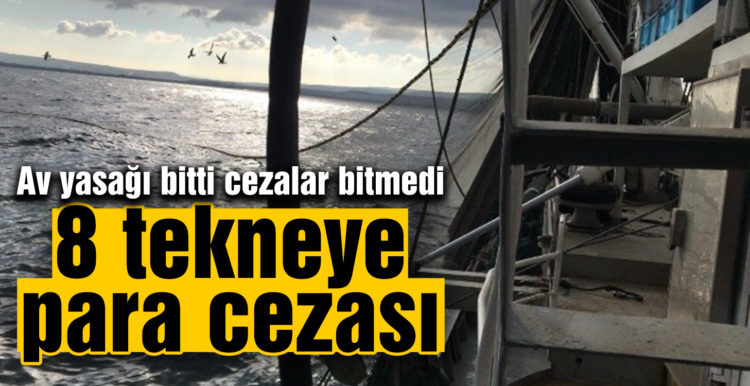 Erdek´te 8 tekneye para cezası kesildi