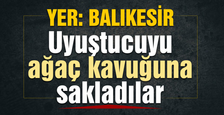 Ağaç kovuğuna saklanan uyuşturucuyu narkotik köpeği böyle buldu