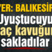 Ağaç kovuğuna saklanan uyuşturucuyu narkotik köpeği böyle buldu