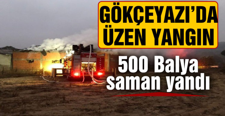 Gökçeyazı’da yangında bin 500 balya saman ile bir buzağı telef oldu