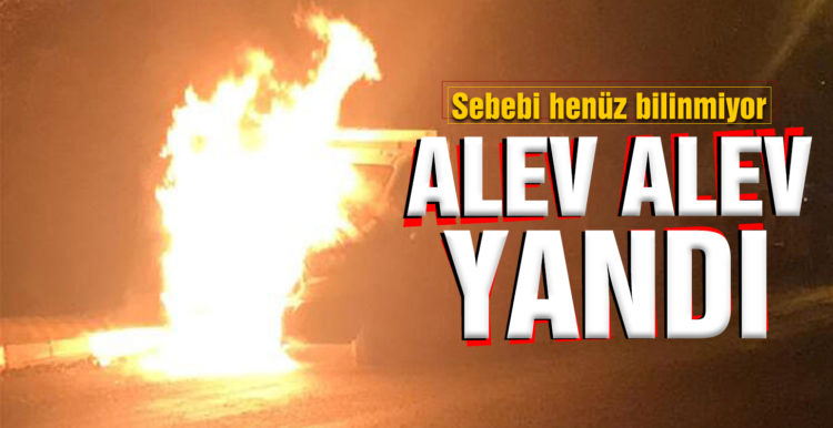 Kars’ta park halindeki kamyonet alev alev yandı