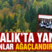 Ayvalık’ta yanan ormanlık alanlar ağaçlandırılıyor