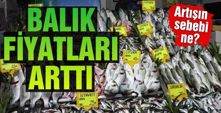 Fırtına balık fiyatlarını arttırdı