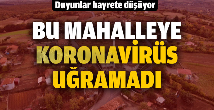 Samsun’da bu mahallede korona vakasına rastlanmadı