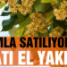 Ihlamurun kilosu 300 lira! Gramla satılıyor